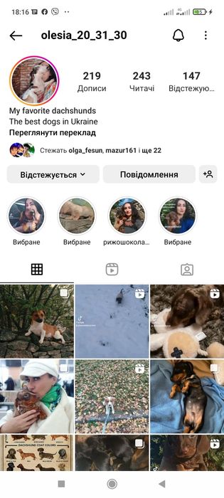 Джек Рассел в'язка