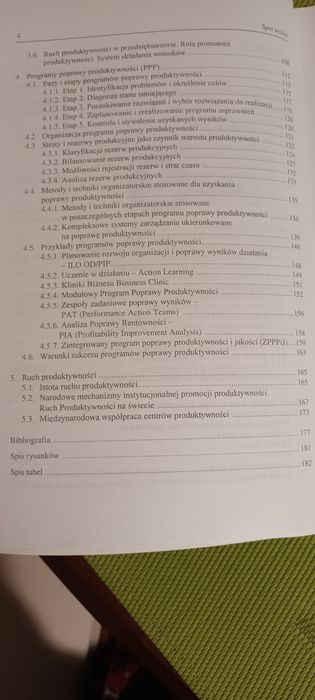 Programowanie Poprawy Produktywności