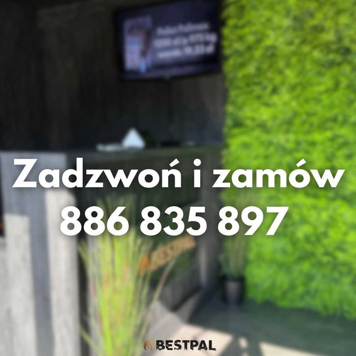 Groszek 25-27 Mj/kg wysoka jakość