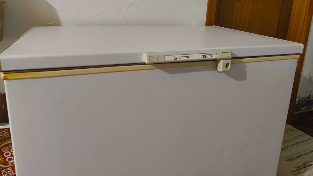Arca Congeladora Horizontal 200L Totalmente Funcional