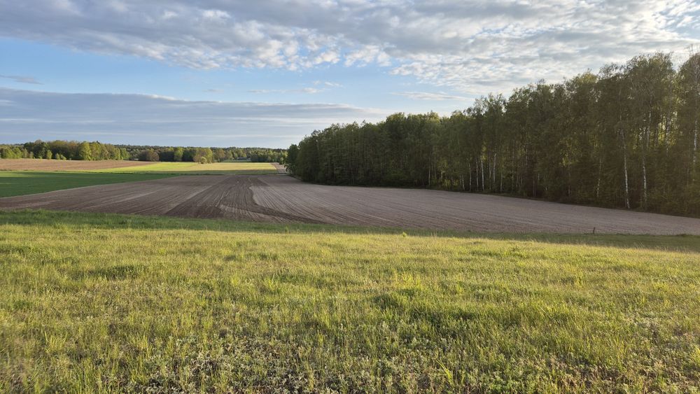 Sprzedam działkę rolno-leśną