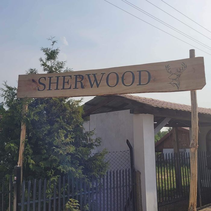 Domki z sauną  w lesie