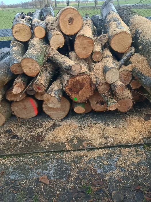 Drewno kominkowe mieszane