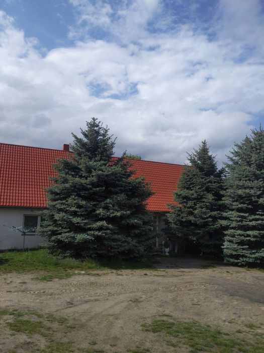 Pokoje do wynajęcia
