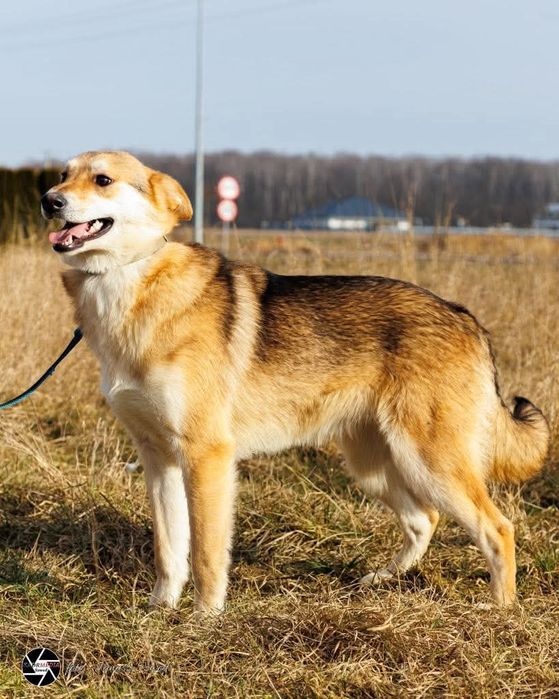 Miki rozgląda się za swoim domem