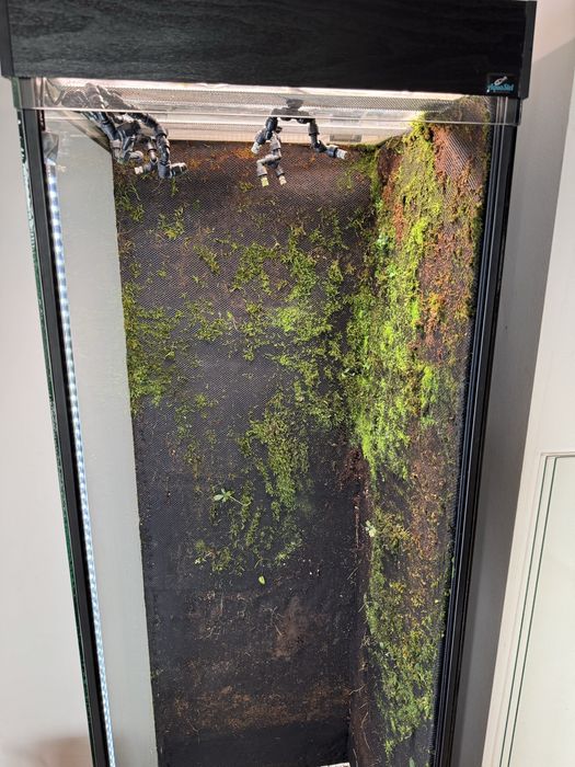 Paludarium terrarium 150x50x50