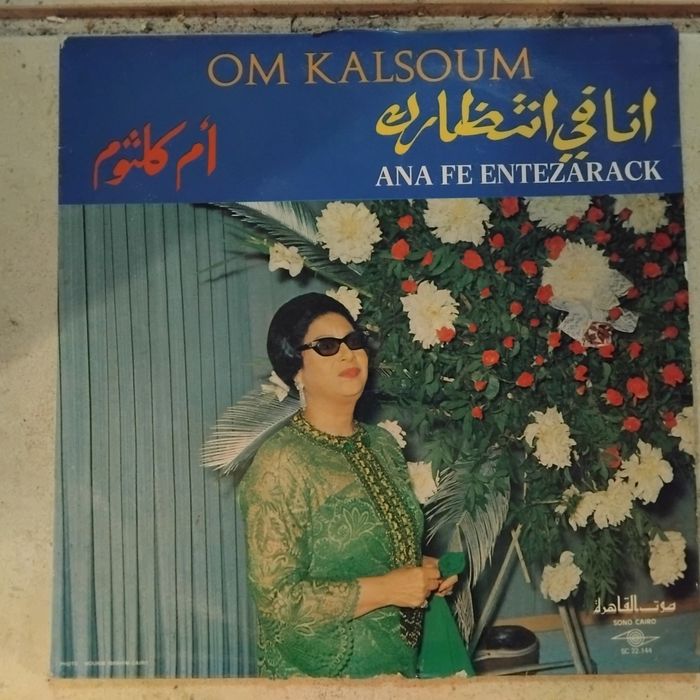 Vários discos de vinil