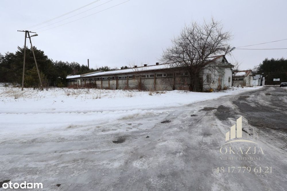 Przestronny Magazyn 1054 m² – Wysoka Głogowska