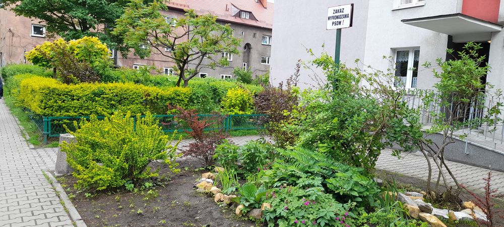 Mieszkanie – Bytom - Więcej