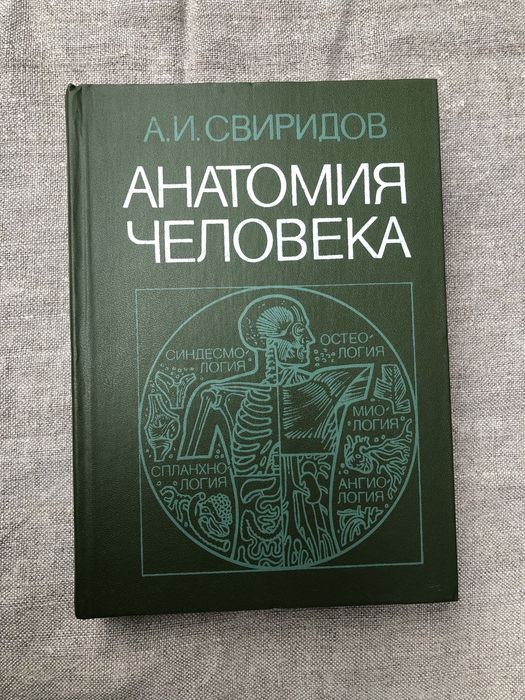 Анатомия человека. А. Свиридов.
