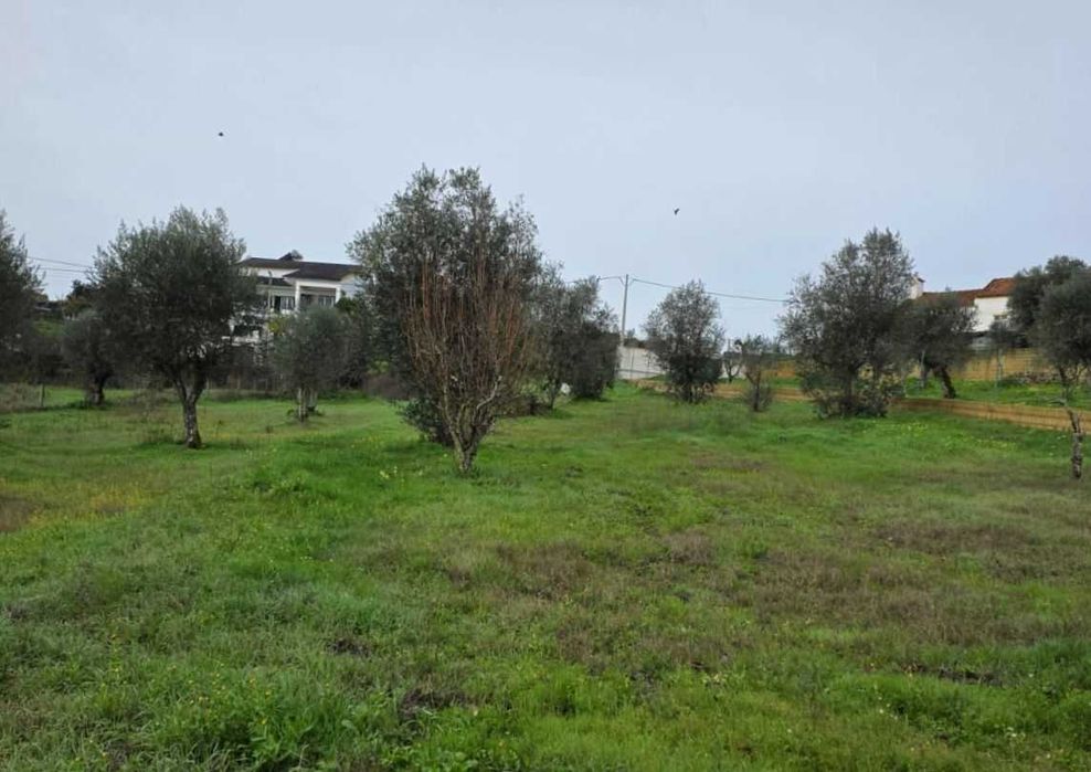 TERRENO URBANO COM 1.180 M² | MOURISCAS, ABRANTES