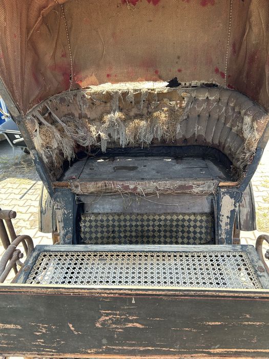 Brzyczka doktor wagen