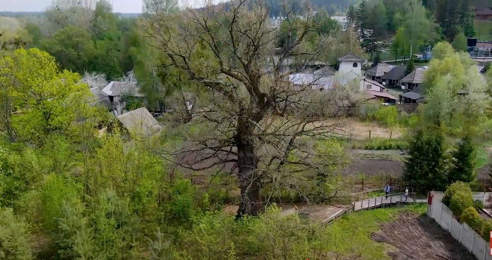 Продам участок  Коробовы хутора Коропово возле леса и реки 22 сотки