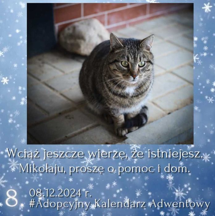 Wciąż wierzę, że istniejesz. Mikołaju proszę o pomoc i dom !