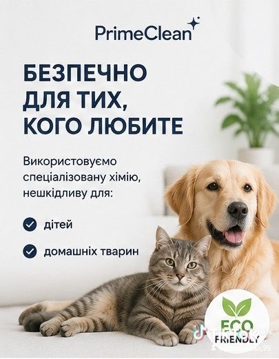 Професійна хімчистка меблів