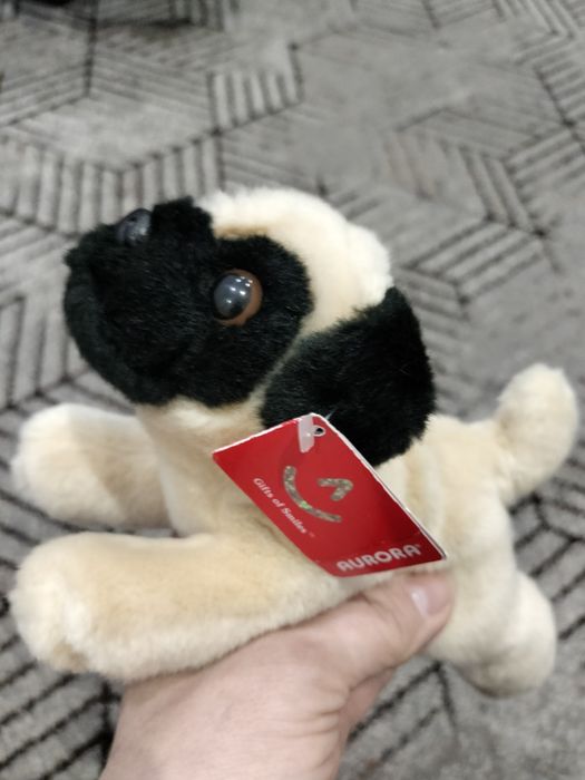 Мопс нова іграшка.