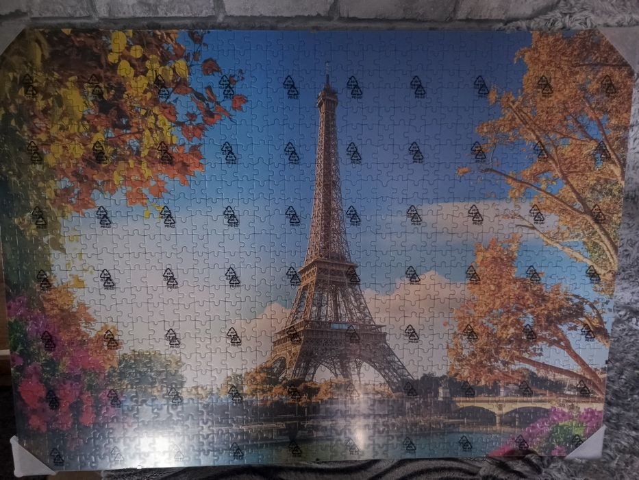 Obraz w antyramie z puzzli