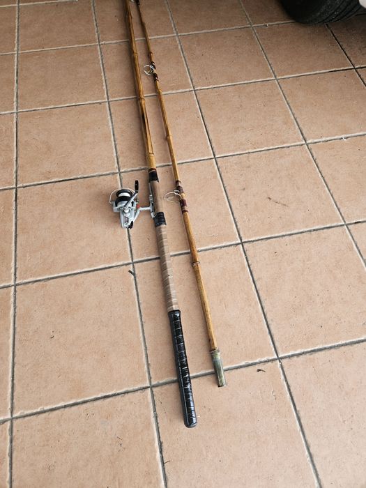 Vendo cana de pesca e carrinho