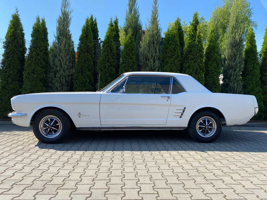 Ford Mustang coupe 3.3 R6; 1966r; po kapitalnej odbudowie