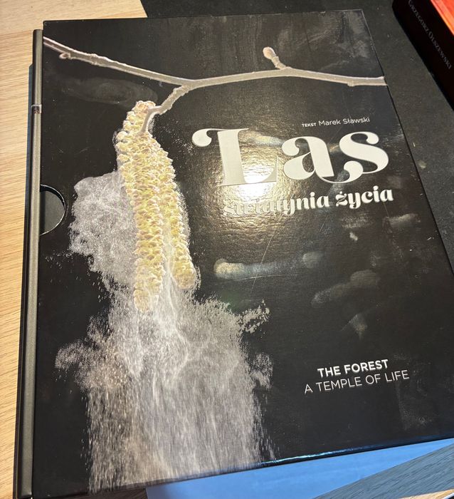 Las świątynia życia