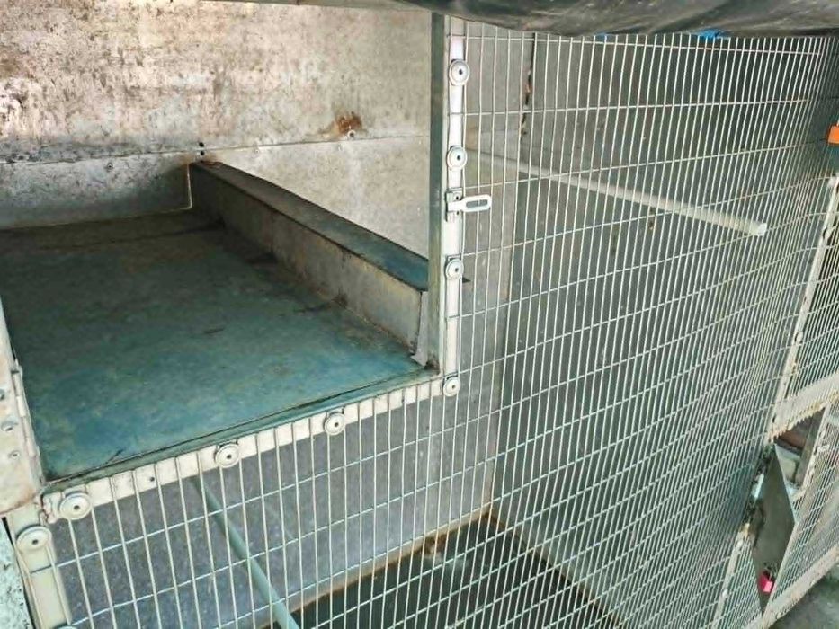 Viveiro para aves 1.45mtsX2mtsX0.60mts