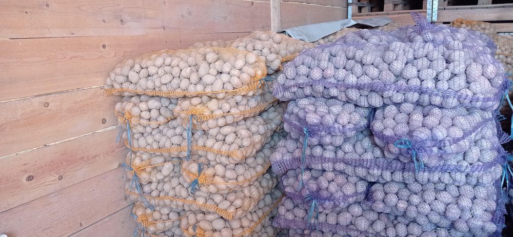 Ziemniaki,kaliber 35-45