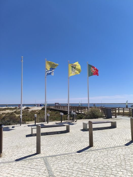 Apartamento T1  c/terraço sul e vista mar
Urbanização calma