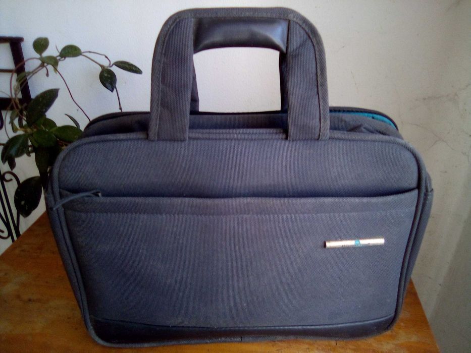 Mala profissional  mango tree