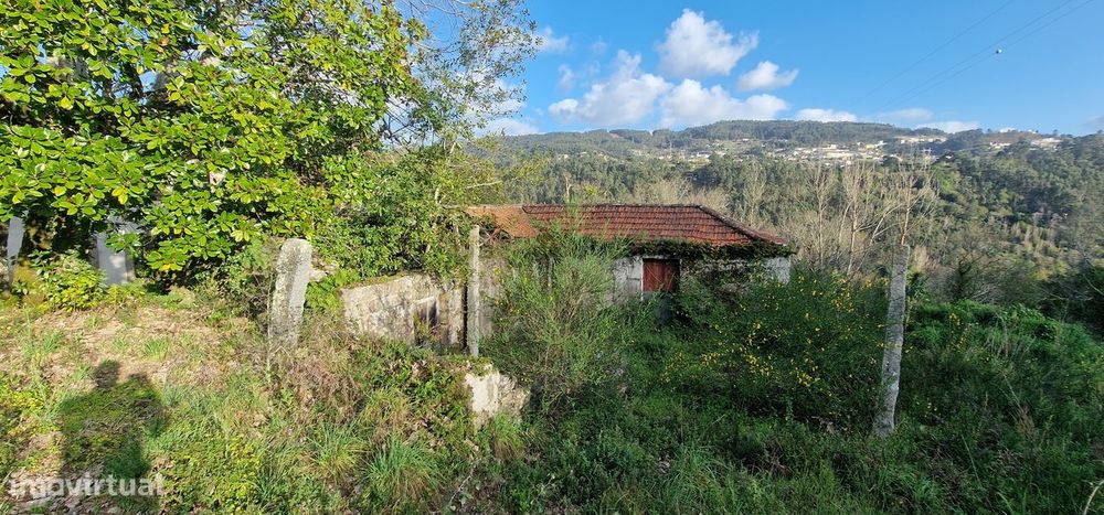 Quinta  Venda em Alpendorada, Várzea e Torrão,Marco de Canaveses