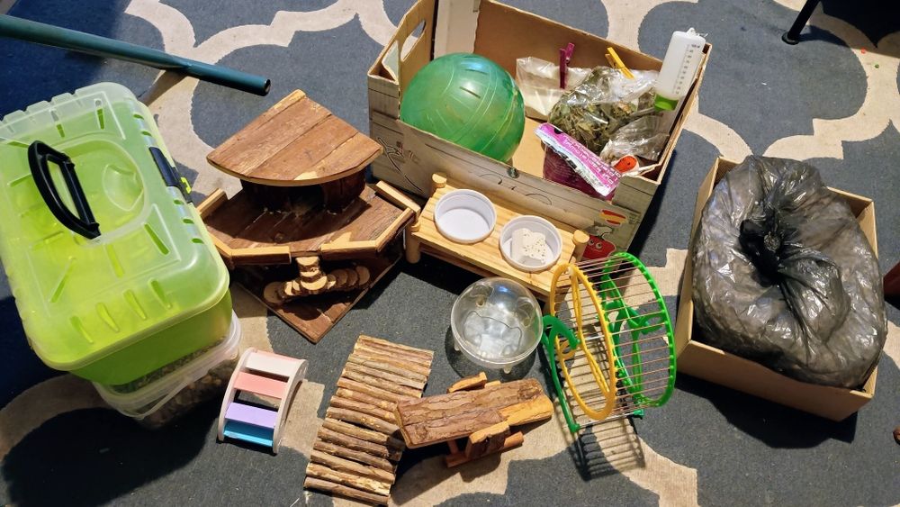 Akcesoria dla chomika