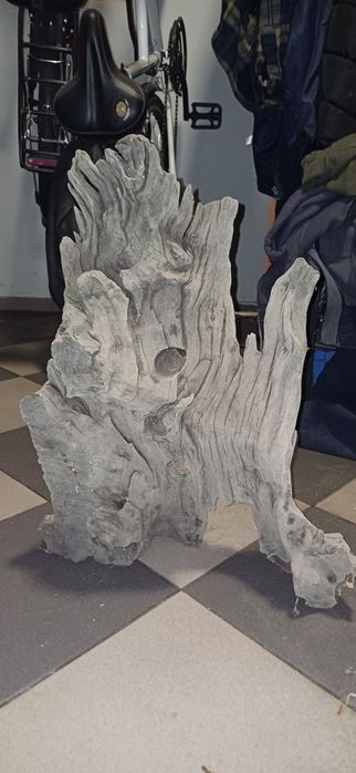 Korzeń do akwarium