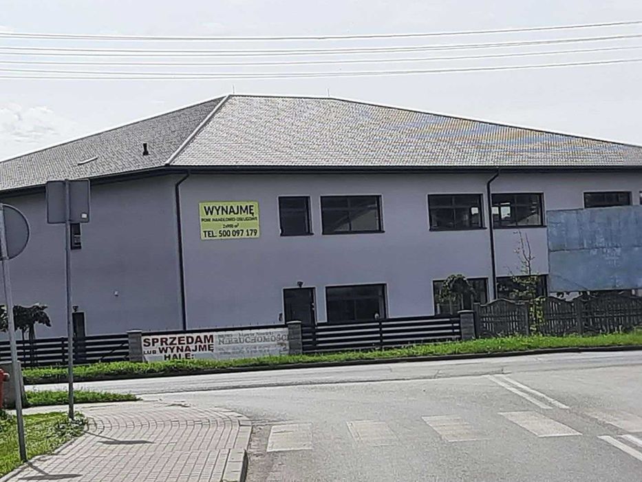 Zdjęcie 4