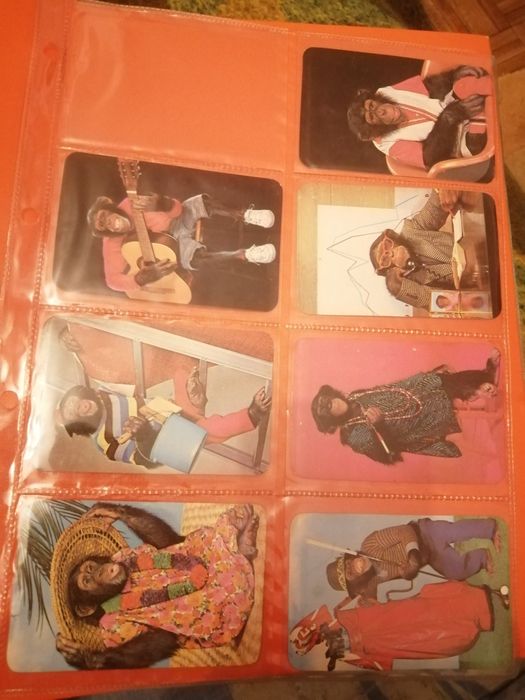 Calendários de bolso (1986) | Chimpanzé