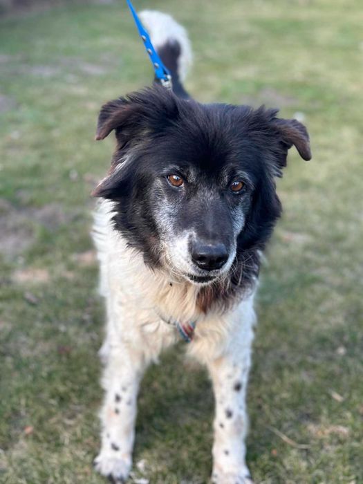 Zapomniany przez wszystkich żyje tyle lat w przytulisku