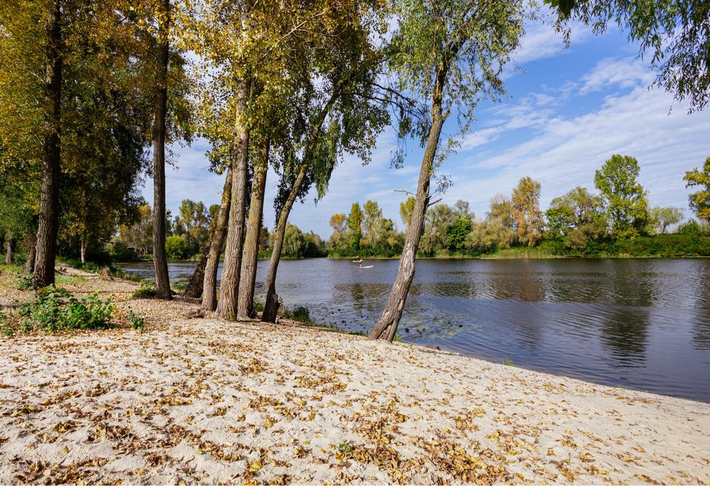 Оренда будинку біля води Осещина, спа-купіль, чан, сап борди, річка.