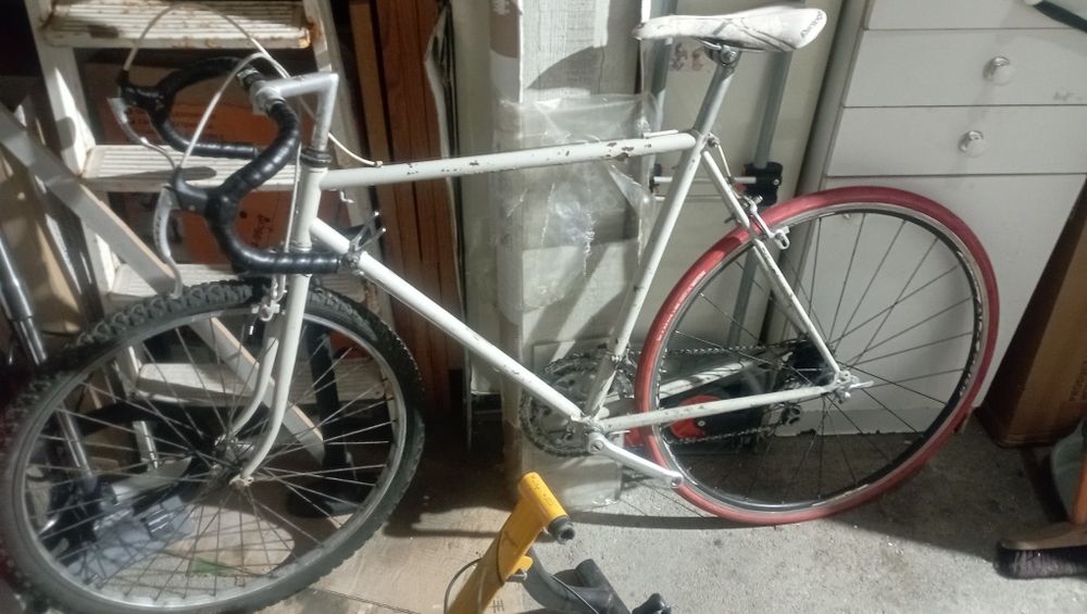 Rolo Treino + Bicicleta