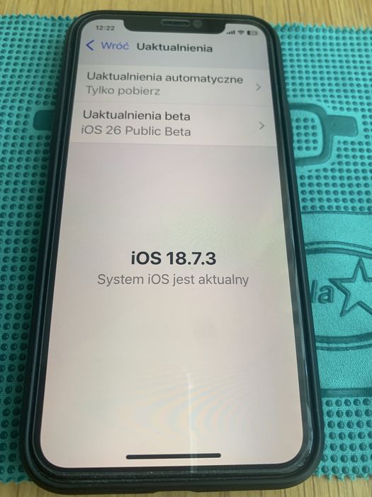 iPhone XS 256GB/100%