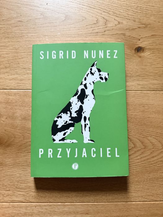 Ksiażka „Przyjaciel” Sirgid Nunez