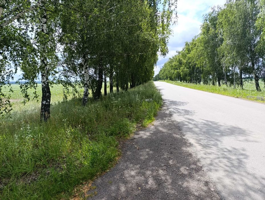 Продам фасадну  земельну ділянку 6,53га  Макарівський район  , село Ясногородка