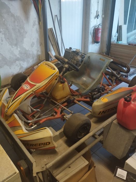 Kart Rotax Max 125
