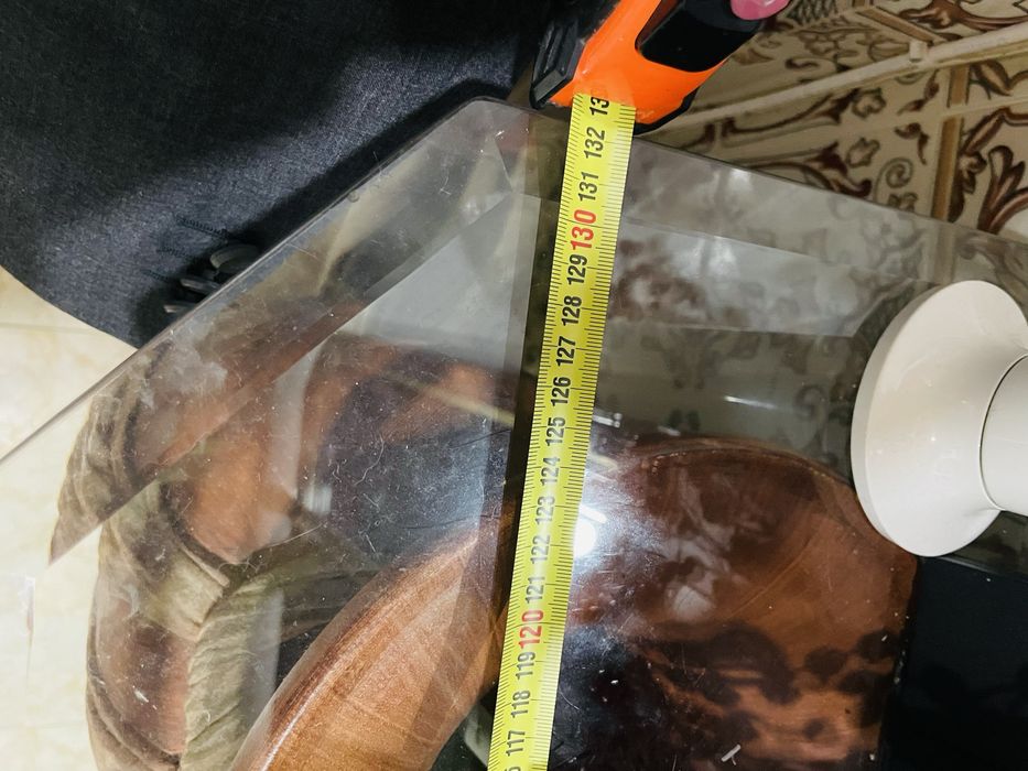 2 vasos e topo de vidro