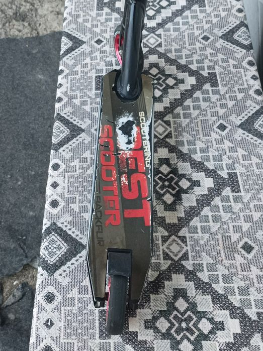 Best scooter BACKLIP