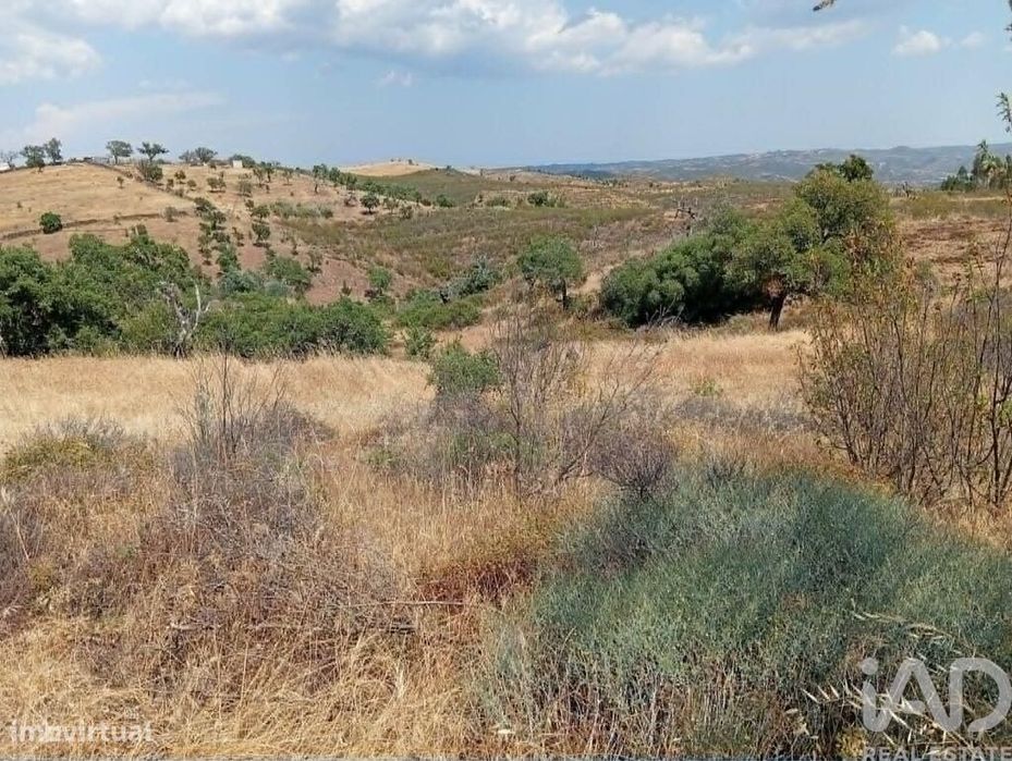 Terreno Agrícola em Santa Cruz
