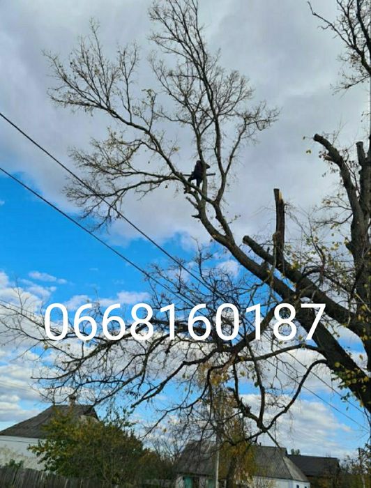 СпилюванняТаОбрізкаАварійнихДерев,БудьЯкоїСкладності.БурінняСтовпчиків