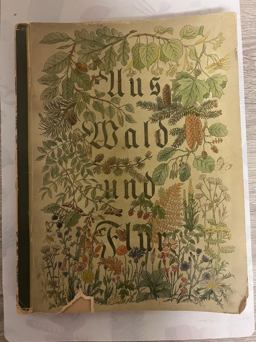Niemiecki album botaniczny 1937 Aus Wald und Flur
