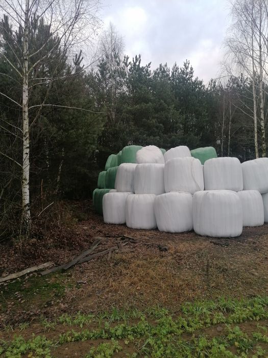 Sprzedam bele sianokiszonki