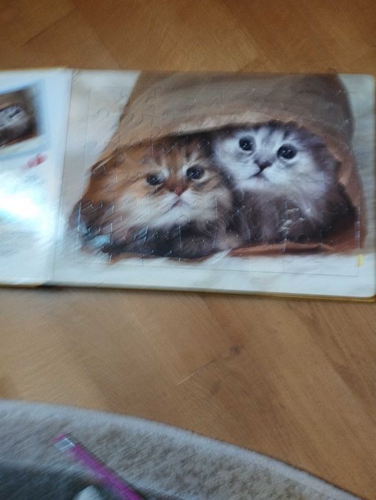 Книга пазл про котиків