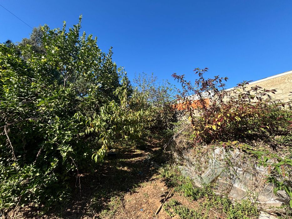 Terreno em Santa Joana, Aveiro