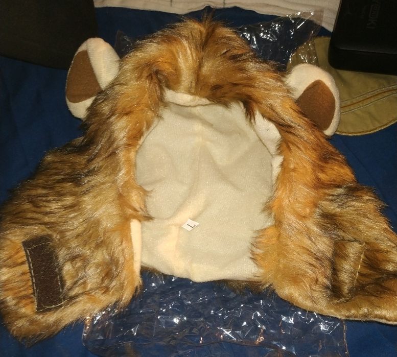 Одежда для животных