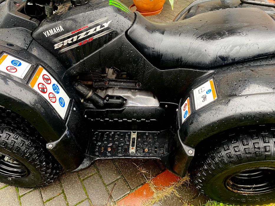 Yamaha grizzly 125